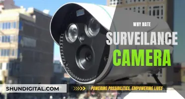 Surveillance Cameras: Invading Privacy, Eroding Freedoms