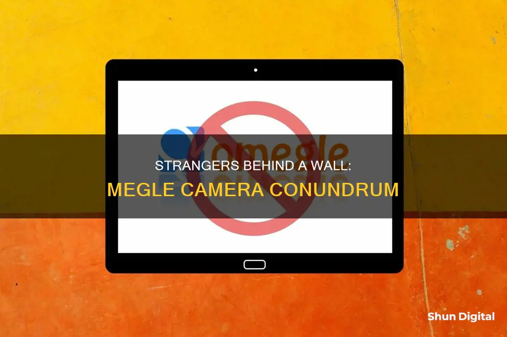 why I cant see strangers camera onmegle