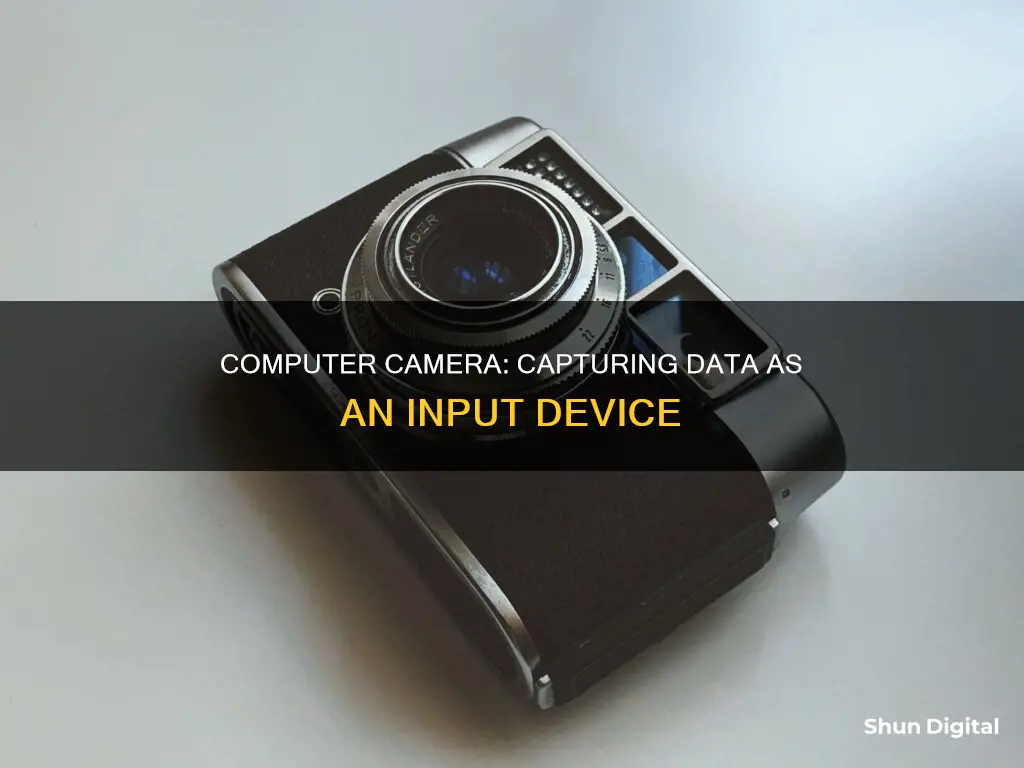 why is a computer camera a n input device