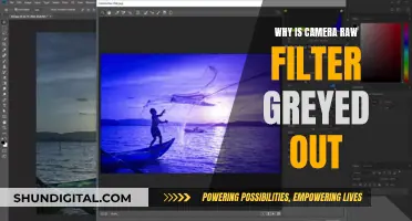 Unlocking the Camera Raw Filter: Troubleshooting the Greyed-Out Issue