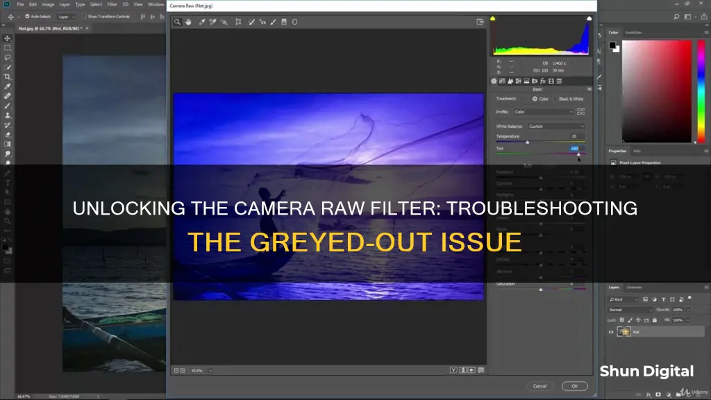 why is camera raw filter greyed out