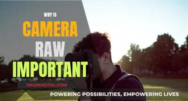 Understanding Camera Raw: Unlocking Photography's Full Potential