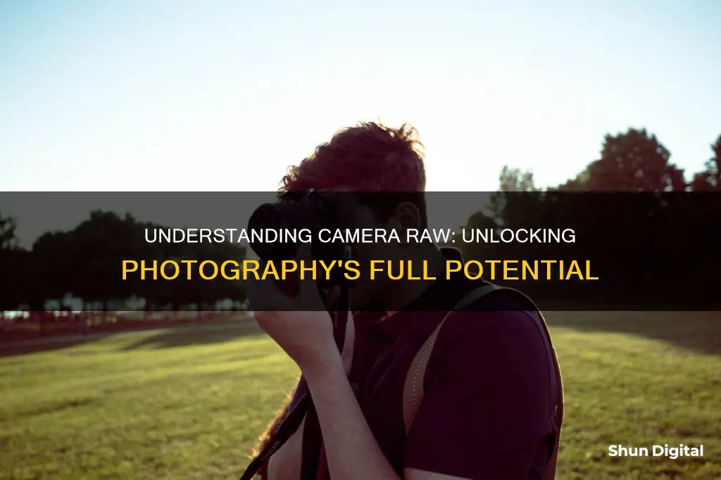 why is camera raw important