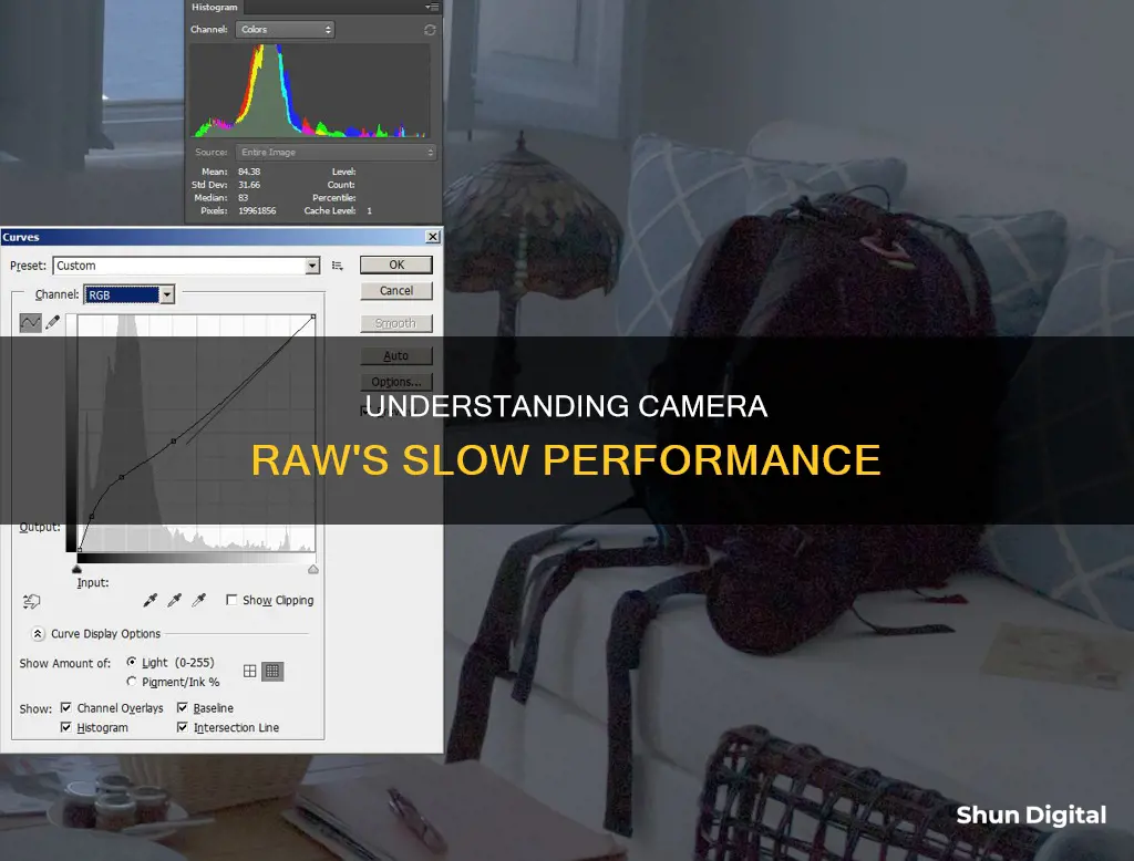 why is camera raw slow