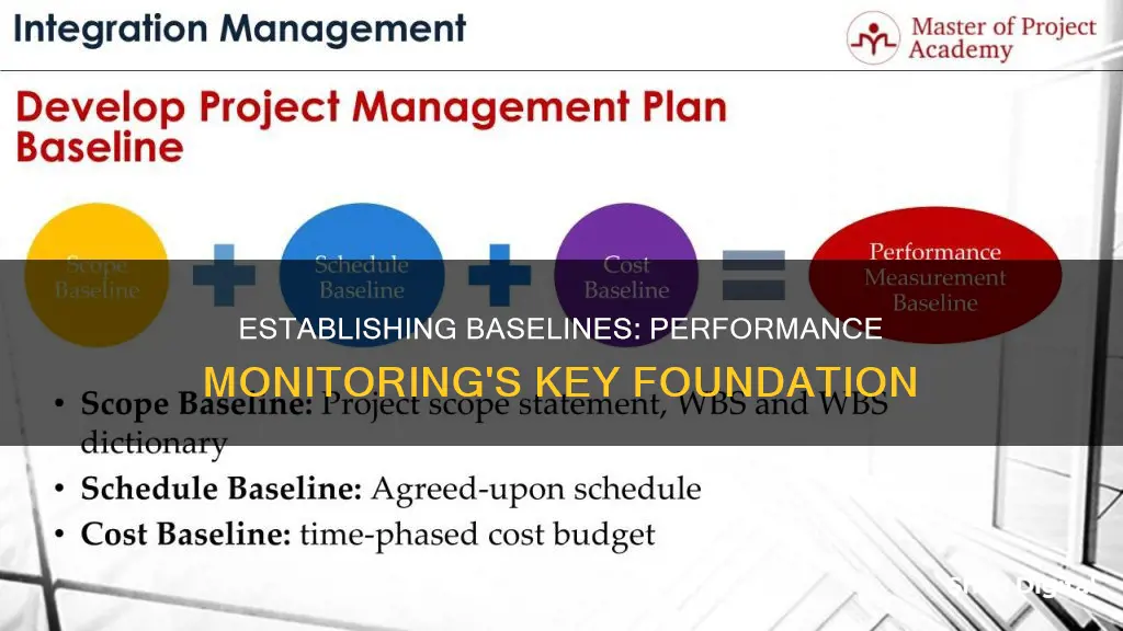 why is establishing a baseline important for monitoring performance