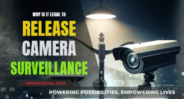 Surveillance Camera Footage: When Privacy Becomes Public