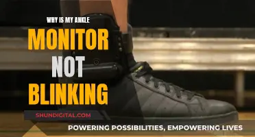 Troubleshooting an Ankle Monitor: No Blinking Light