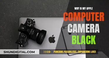 Troubleshooting Apple Camera: Black Screen Issues