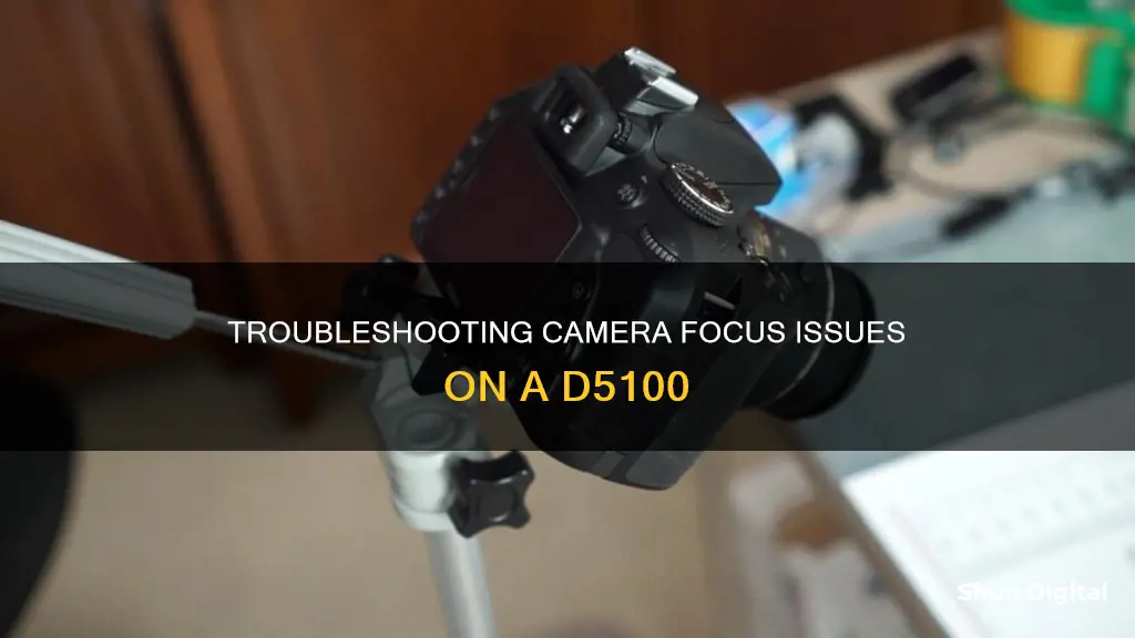 why is my camera not focusing d5100