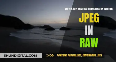 Understanding Unexpected JPEGs in Your RAW Photos