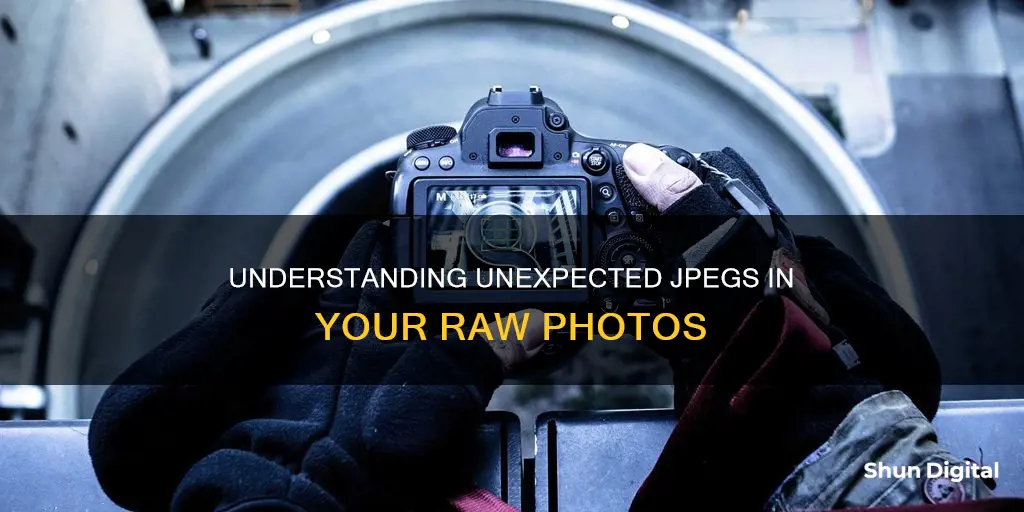 why is my camera occasionally writing jpeg in raw