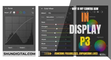 Display P3: Why Your Camera Raw Looks Flat