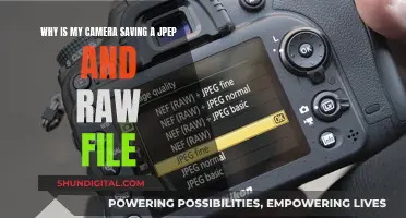 Understanding Dual File Formats in Photography