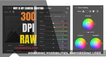 Understanding Your Camera's DPI and RAW Settings