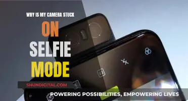 Selfie Mode: Why Your Camera is Stuck and How to Fix It