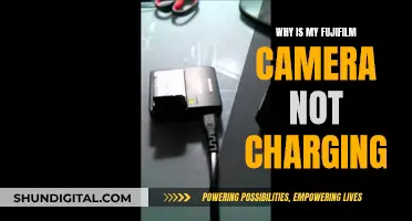 Fujifilm Camera Not Charging: Troubleshooting Guide