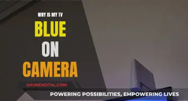 Troubleshooting Blue TV Screen Issues on Camera