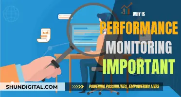 Performance Monitoring: Essential for Business Success and Growth