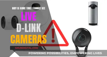 Troubleshooting D-Link Camera Visibility Issues