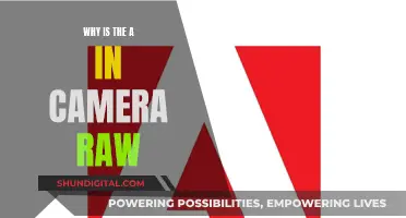 Understanding Camera Raw: The 'A' Mystery Explained