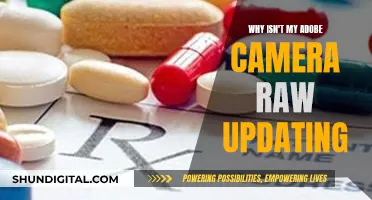 Troubleshooting Adobe Camera Raw Update Issues