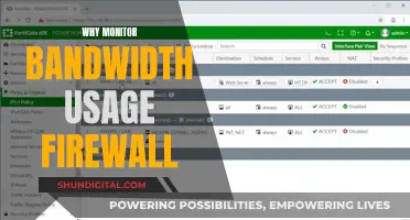 Monitoring Bandwidth Usage: Firewall's Role and Importance