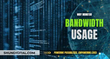 Monitoring Bandwidth Usage: A Crucial Step for Network Efficiency