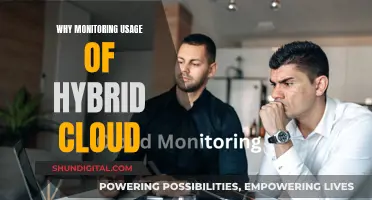 Monitoring Hybrid Cloud Usage: Security and Performance Benefits