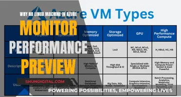 Linux Machines: Azure Monitor Performance Preview Absence Explained