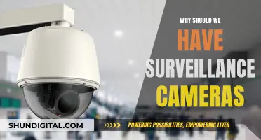 Surveillance Cameras: Security, Protection, and Peace of Mind