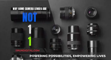 Understanding Camera Lenses: Why Some Aren't 1:1