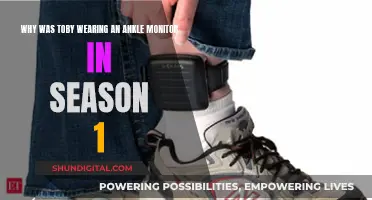 Toby's Ankle Monitor: A Season 1 Mystery