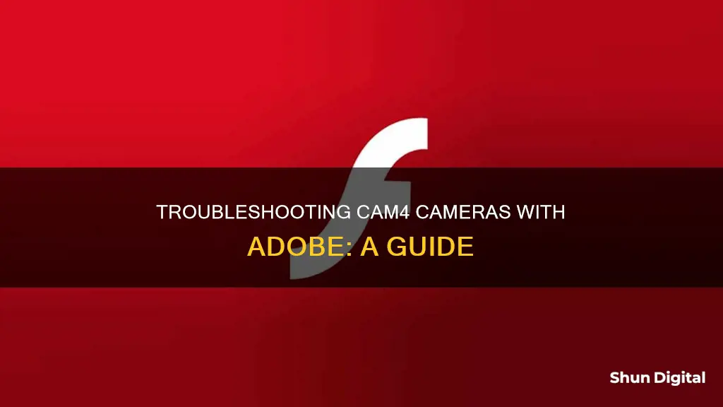 why wont cam4 cameras play on my computer with adobe