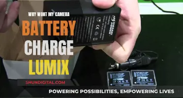 Troubleshooting Guide: Lumix Camera Battery Won't Charge