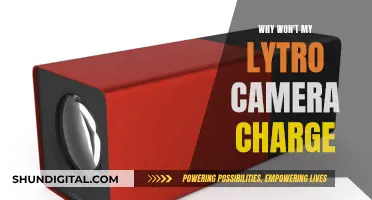 Troubleshooting Lytro Camera Charging Issues