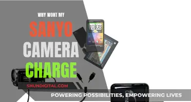 Troubleshooting a Sanyo Camera That Won't Charge