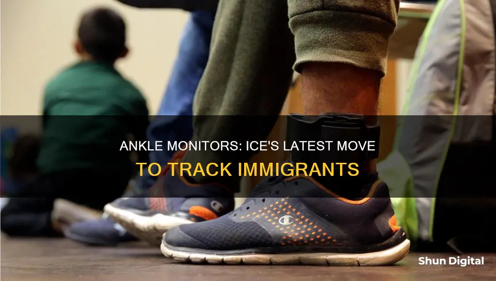 why would ice put an ankle monitors