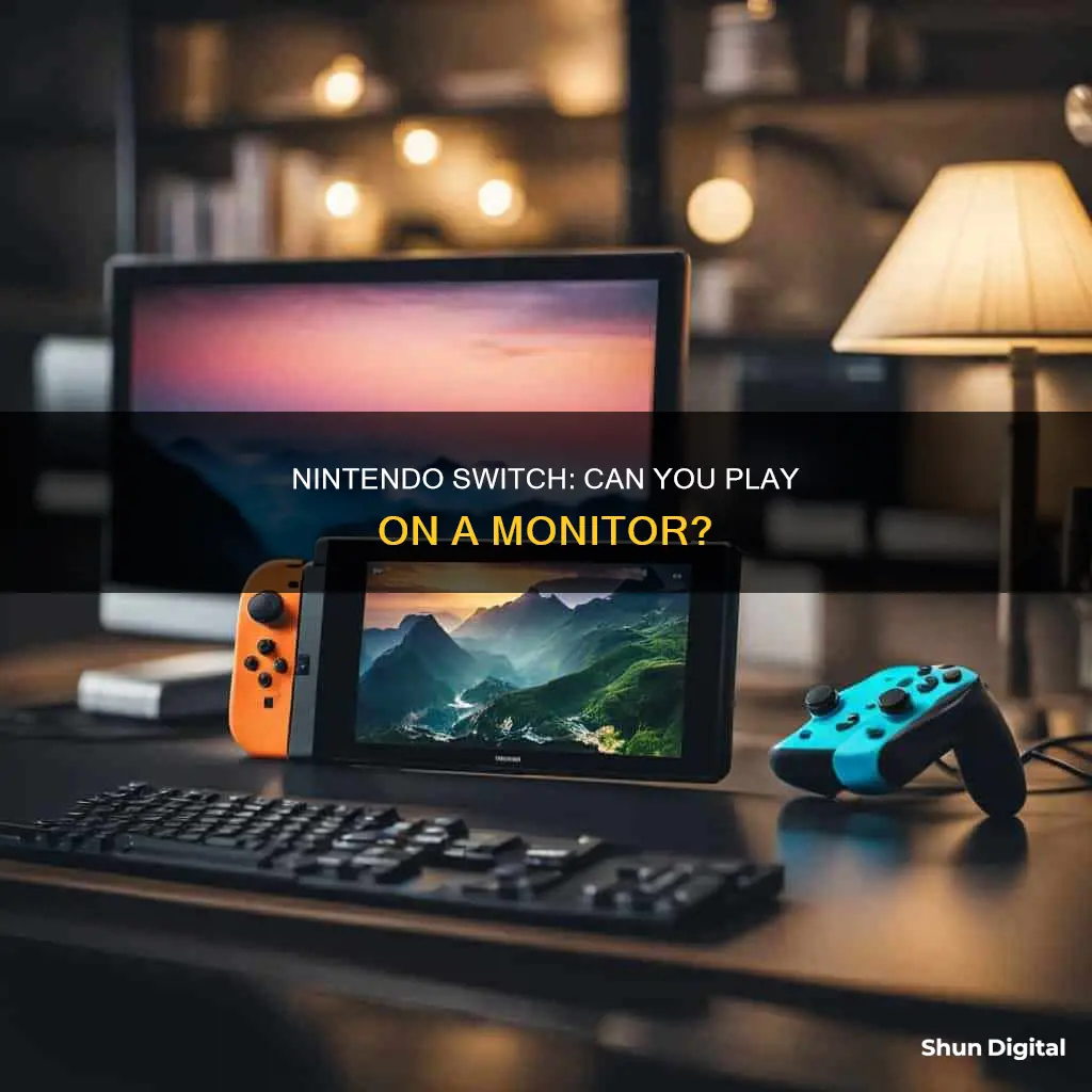 will nintendo switch worth with a avg monitor